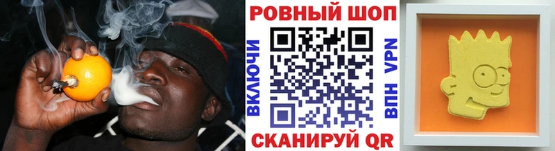 МЕФ Новоалександровск