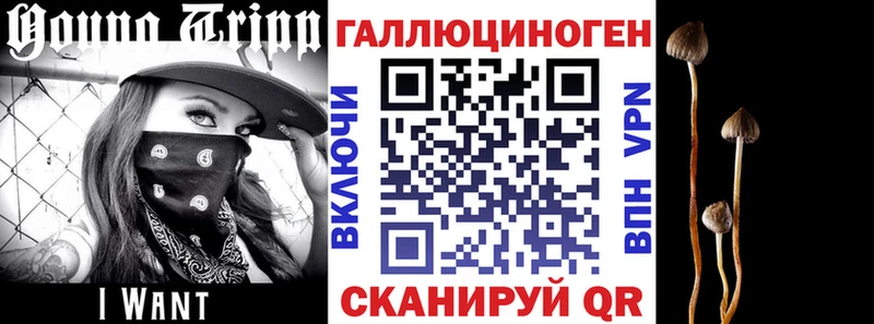 hydra онион  Новоалександровск  Галлюциногенные грибы ЛСД  цены наркотик 