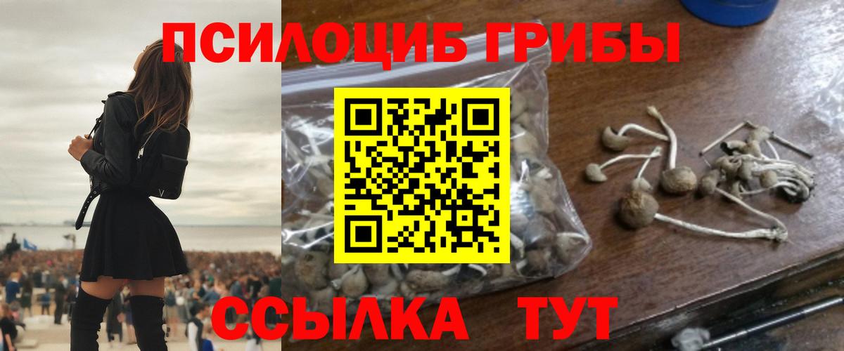 Галлюциногенные грибы GOLDEN TEACHER  Галлюциногенные грибы мицелий  Новоалександровск  Вход с VPN 